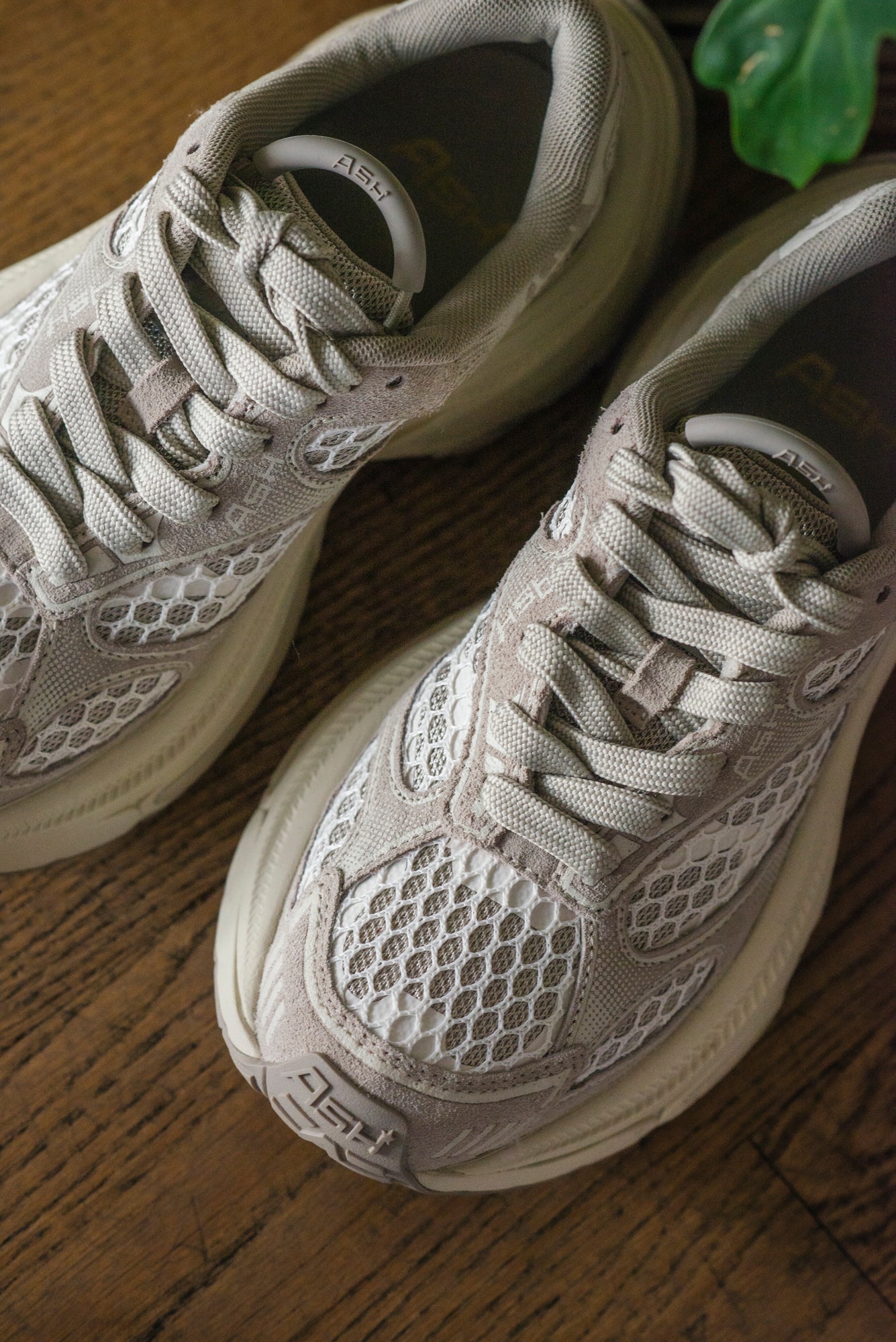 Sneakers Ash Mod. Dragon