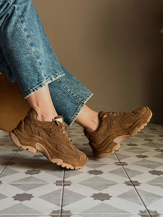 Sneakers Ash Addict suede