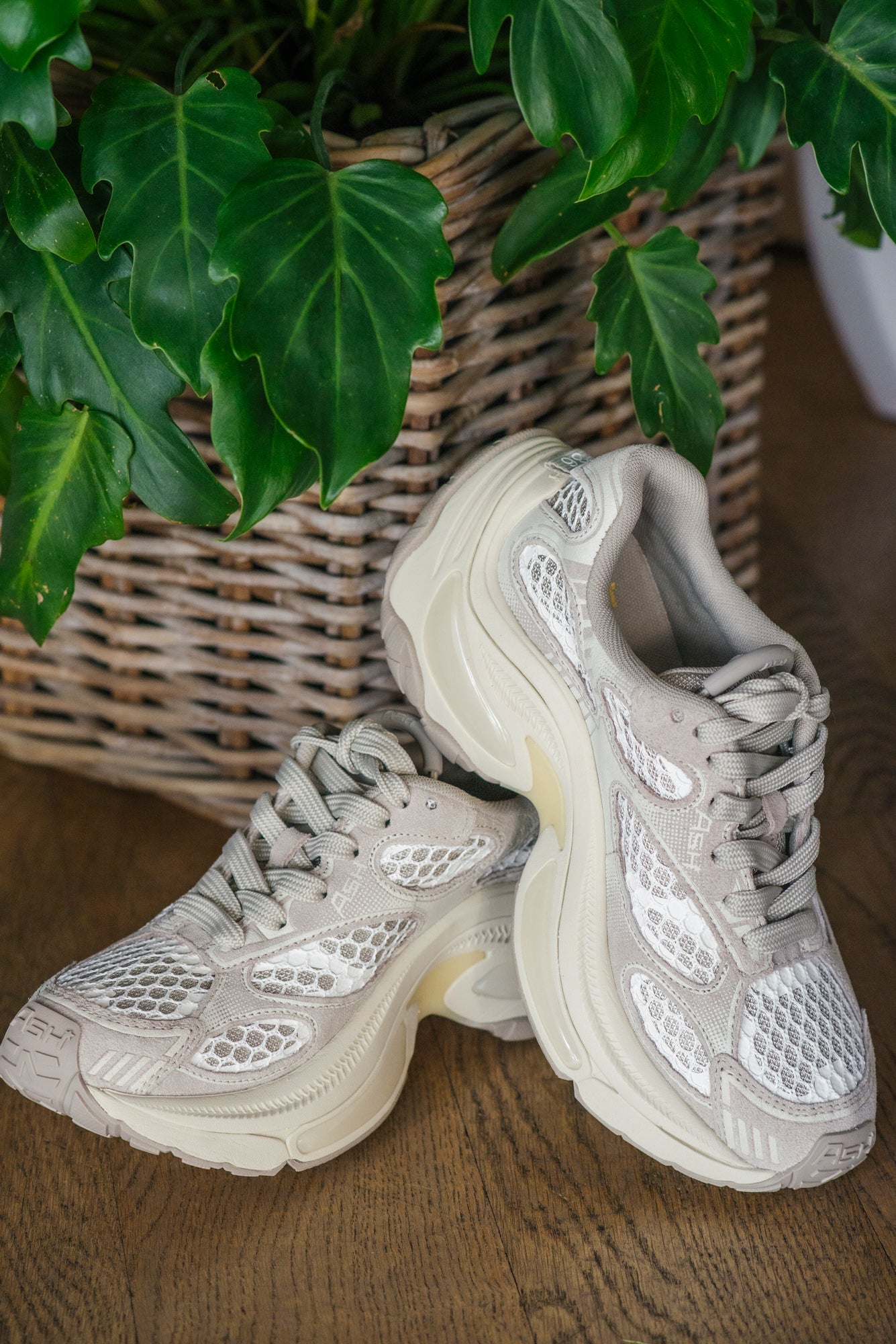 Sneakers Ash Mod. Dragon