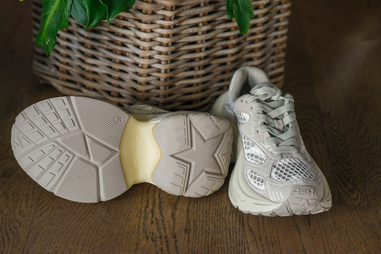 Sneakers Ash Mod. Dragon