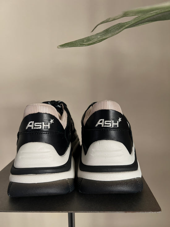 Sneakers Ash Addict