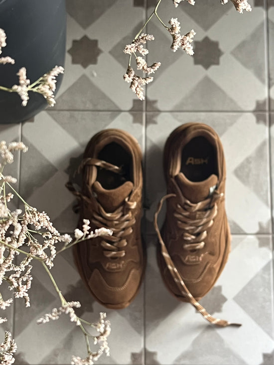 Sneakers Ash Addict suede