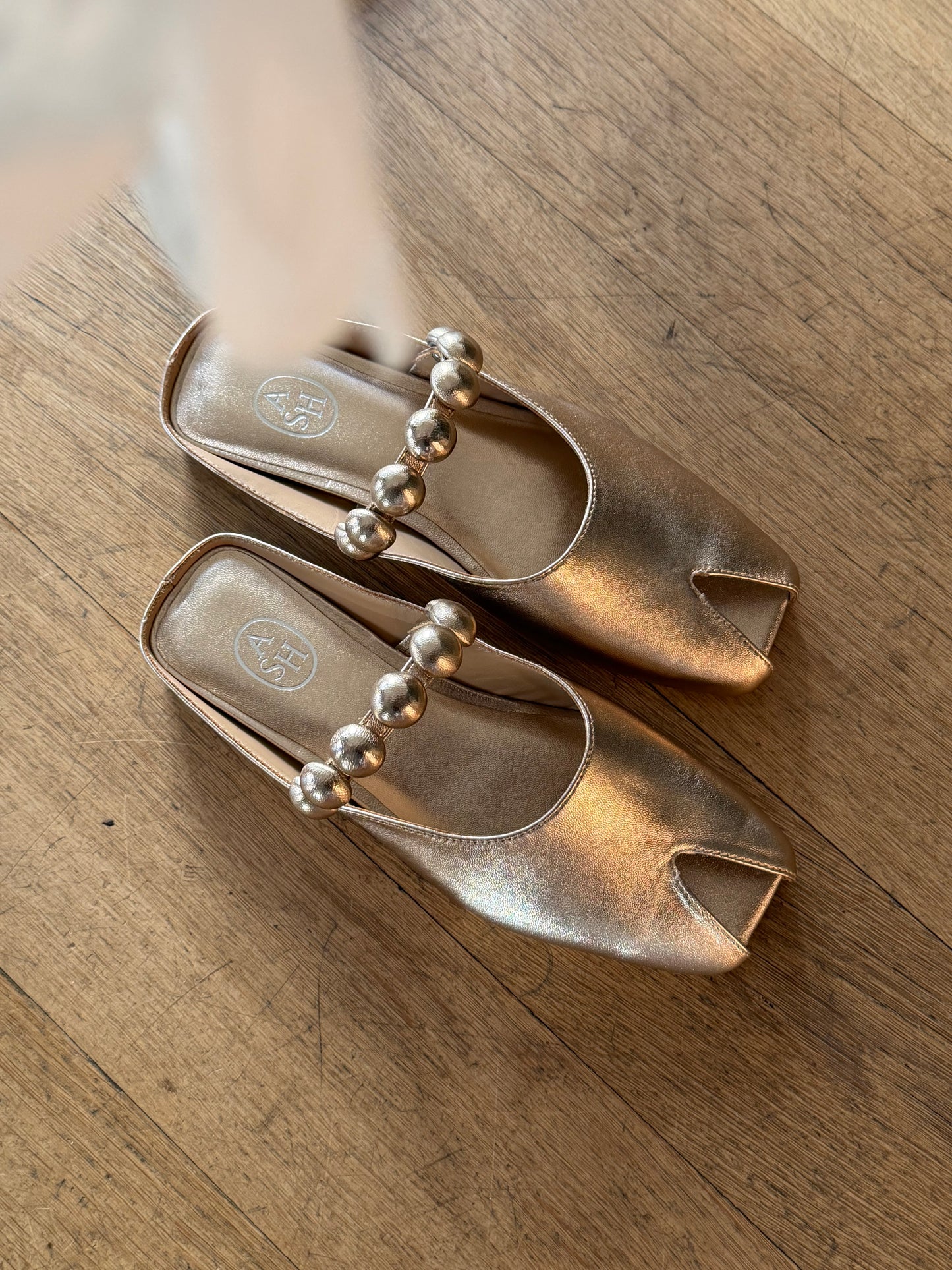 Sabot Ash Gold