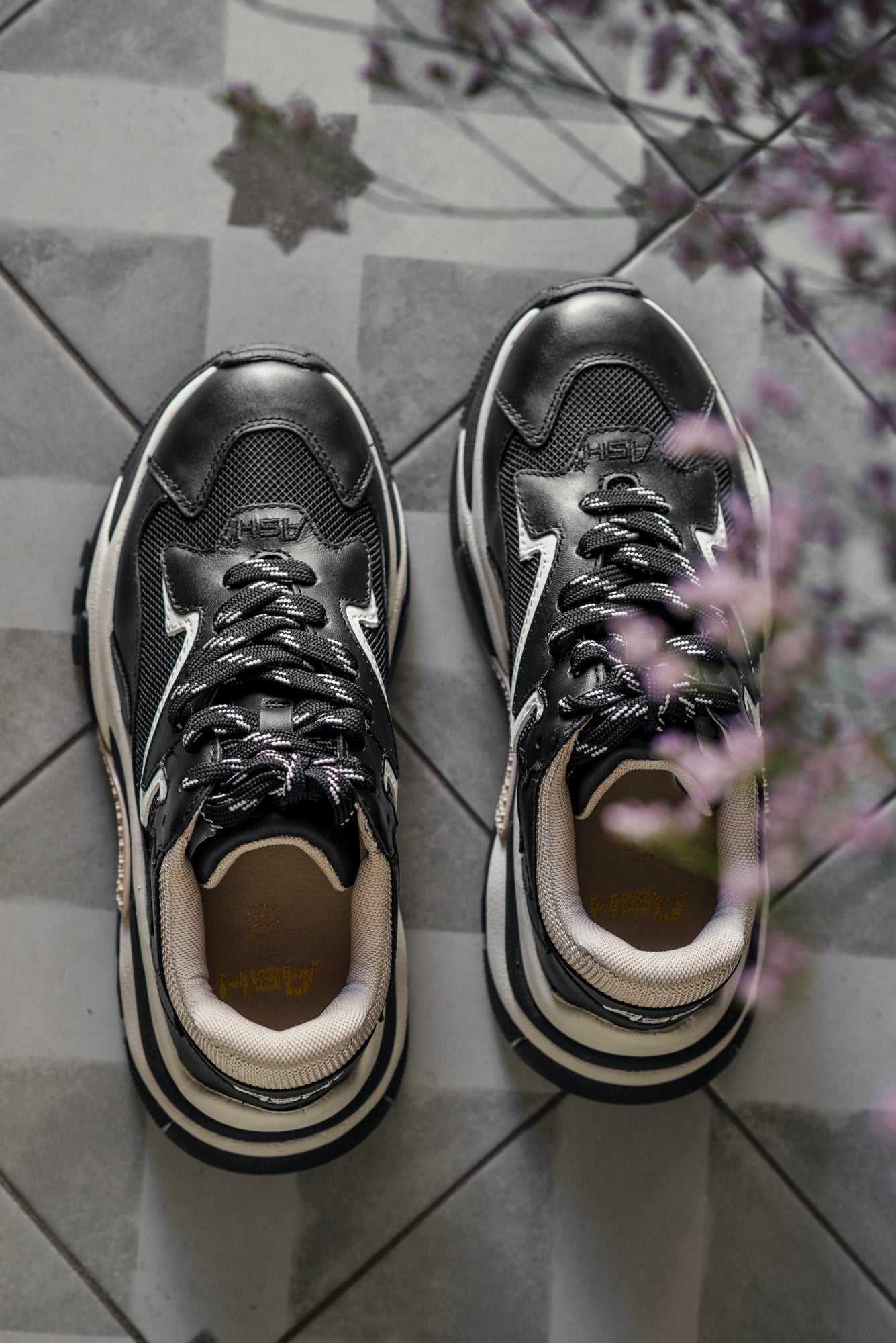 Sneakers Ash modello Addict BlCk