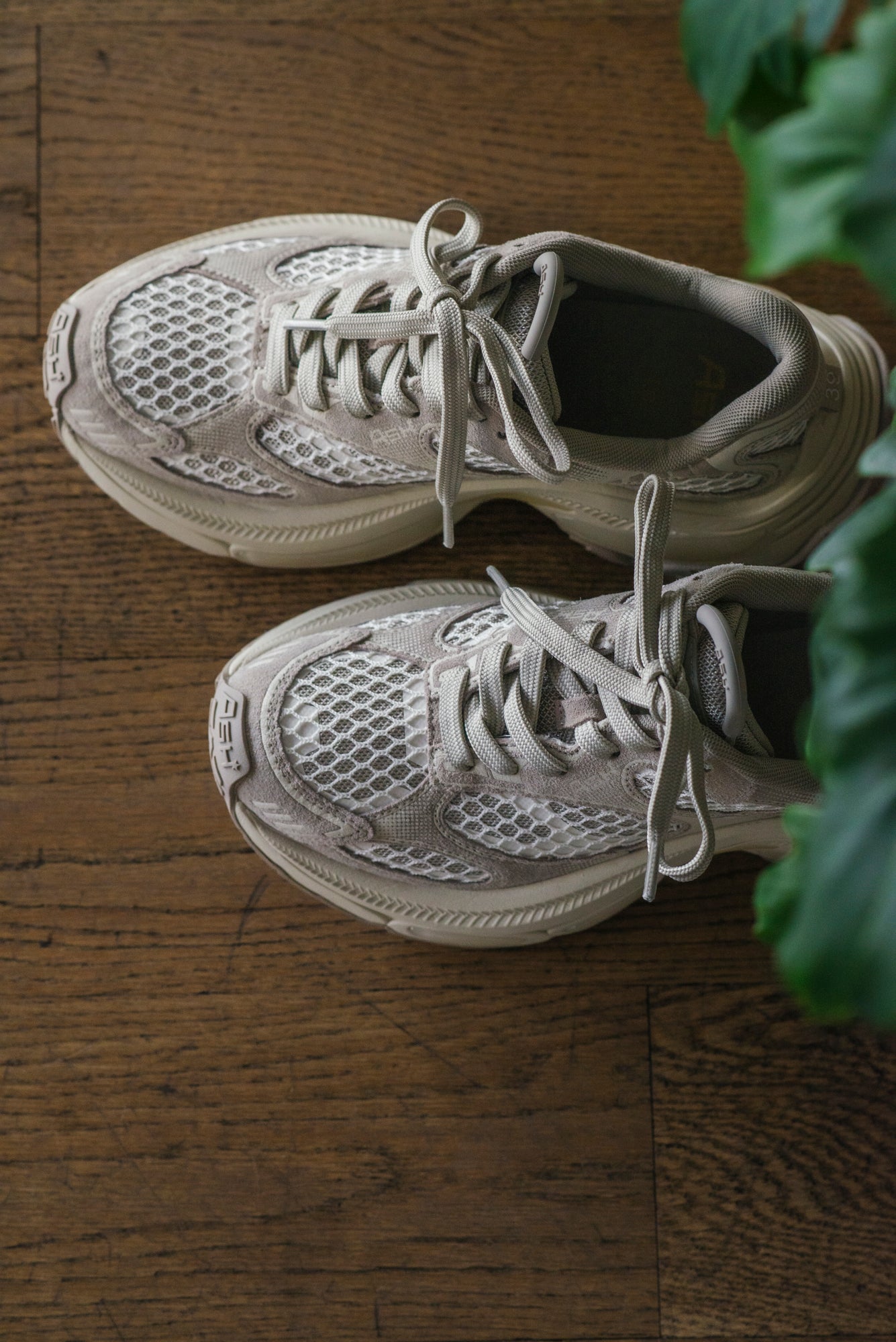 Sneakers Ash Mod. Dragon